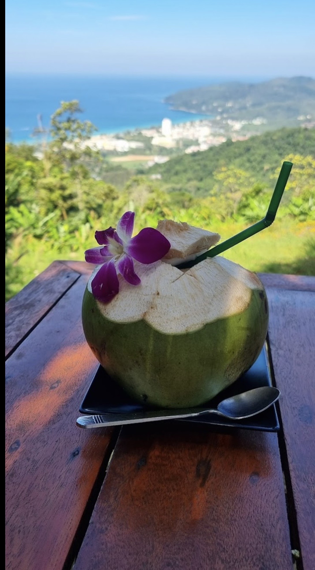 Fresh coconut with sea view