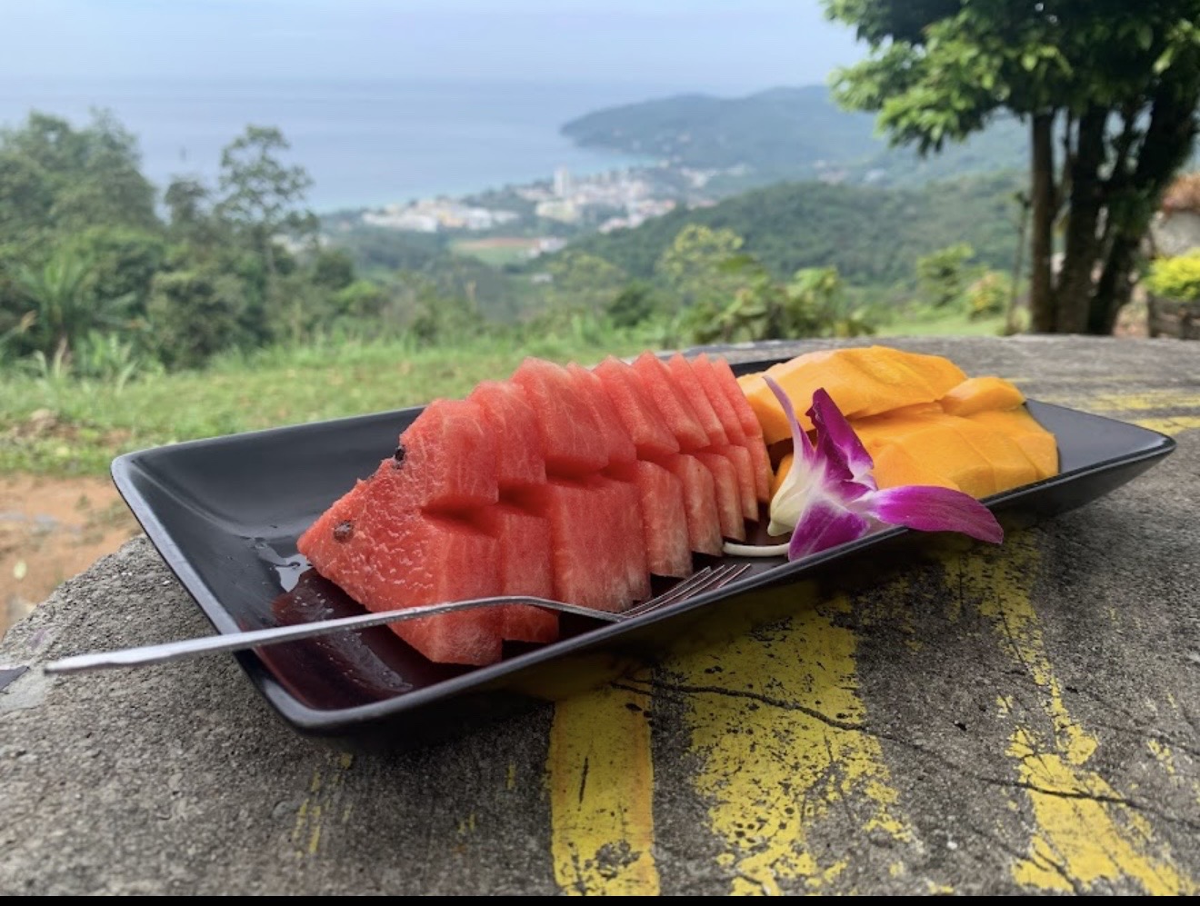 Fresh fruit plate with view