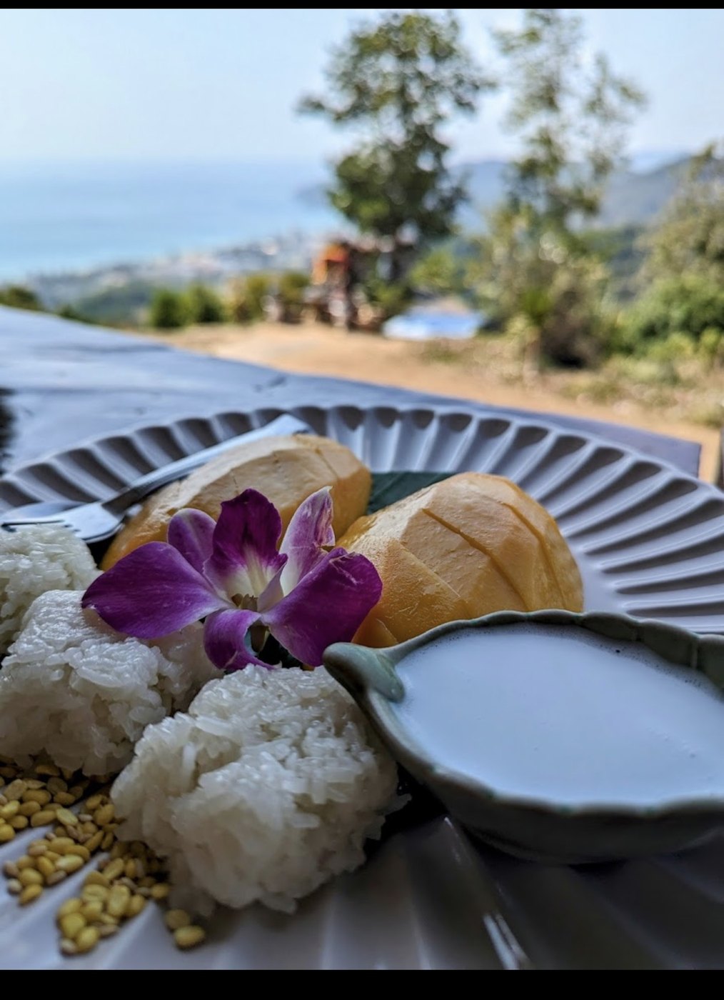 Mango sticky rice with view